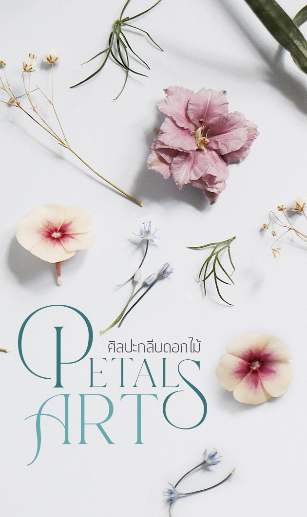 ศ ลปะกล บดอกไม Petal Art ออกแบบ ตกแต งภายใน By Bareo