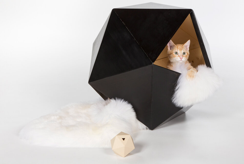 สถาปัตยกรรมแมว Cat Architecture The Dungeon Master's Lair